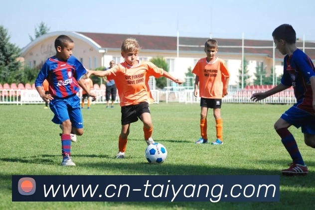 太阳城发展历程